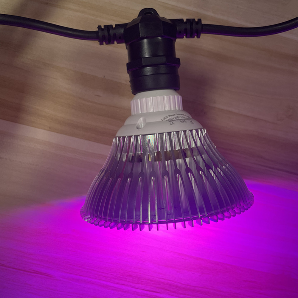 10M Cable LED String Commercia - Smart Garden Light review and price