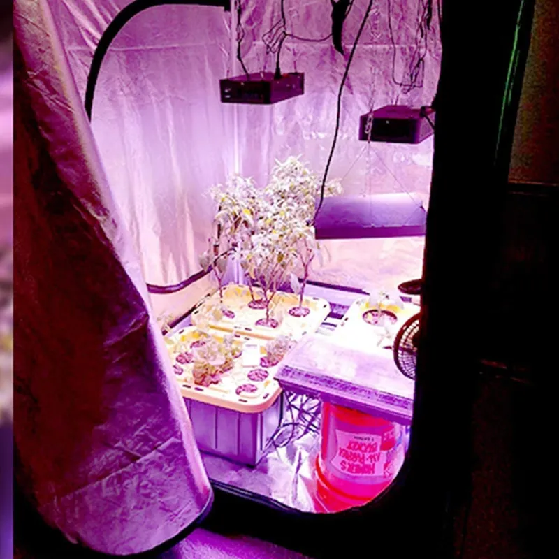 ROHE 100x100x200cm Hydroponic  - Grow Tent Complete Kit review and price