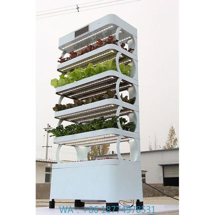 arming Home Hydroponic Growing - Smart Garden Home review and price