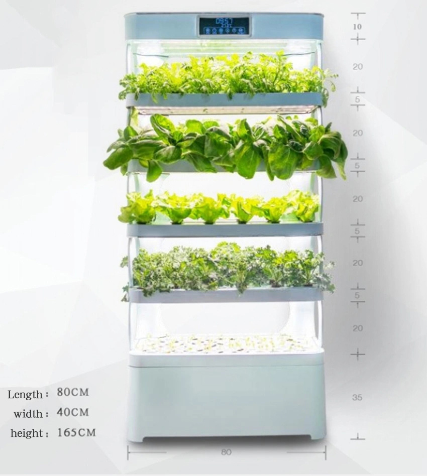 arming Home Hydroponic Growing - Smart Garden Home review and price