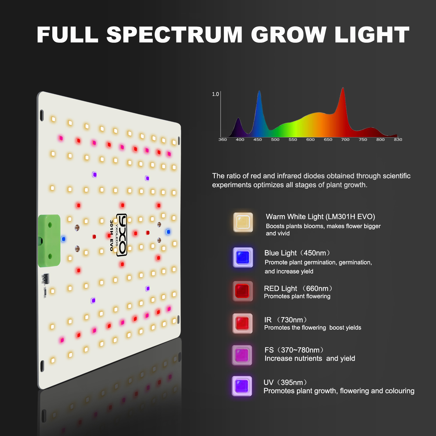 85W 180W LM301H EVO Quantum LE - Grow Tent Complete Kit review and price