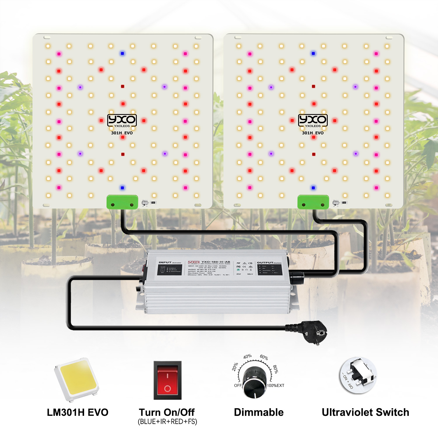 85W 180W LM301H EVO Quantum LE - Grow Tent Complete Kit review and price