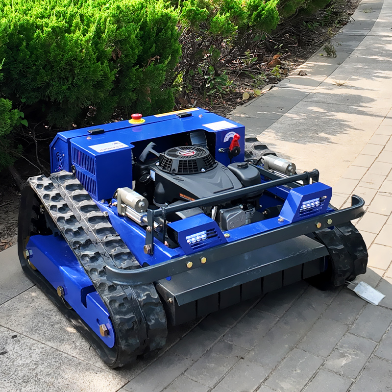 Customized Remote Control Lawn - Smart Garden Home review and price