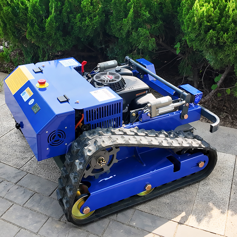 Customized Remote Control Lawn - Smart Garden Home review and price