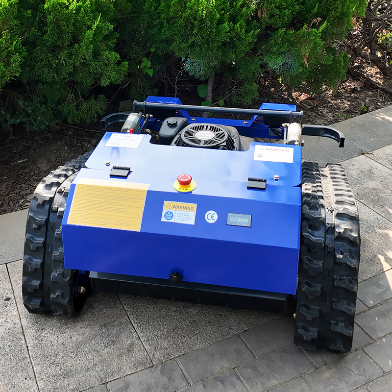 Customized Remote Control Lawn - Smart Garden Home review and price