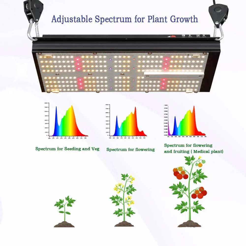 BAVAGREEN Hydroponic System Sm - Grow Tent Complete Kit review and price