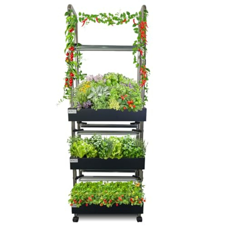 Indoor hydroponics growing sys - Smart Garden Light review and price
