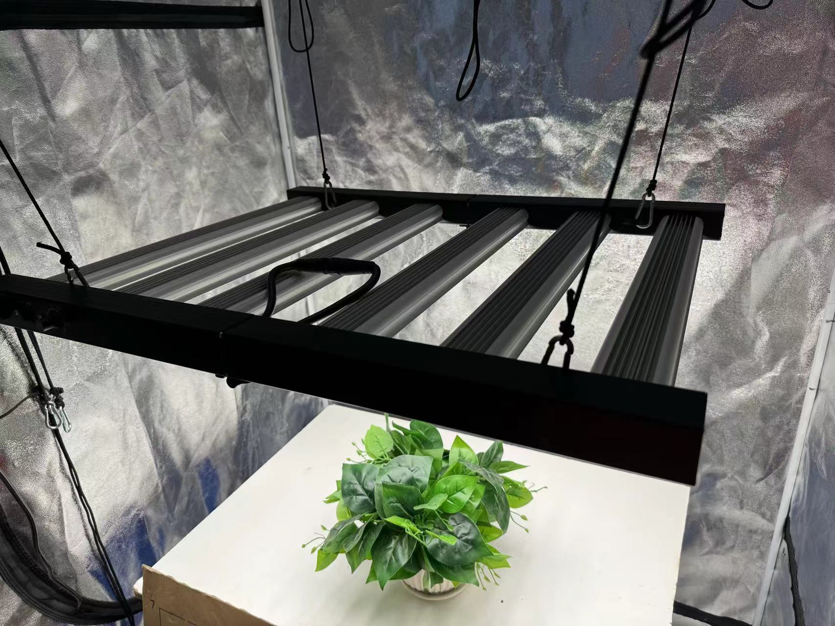 4x4 Grow Tent Complete Kit, In - Grow Tent Complete Kit review and price