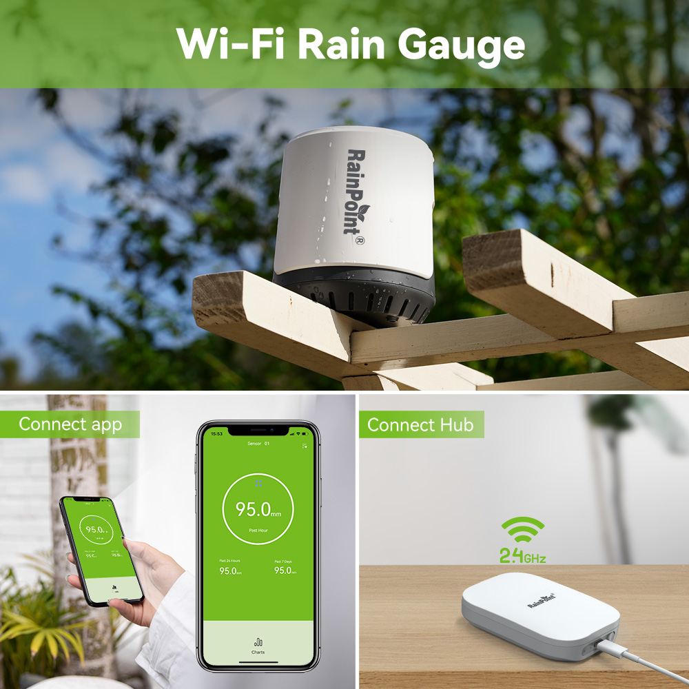 RAINPOINT Wireless Digital Rai - Rain Gauge Digital review and price