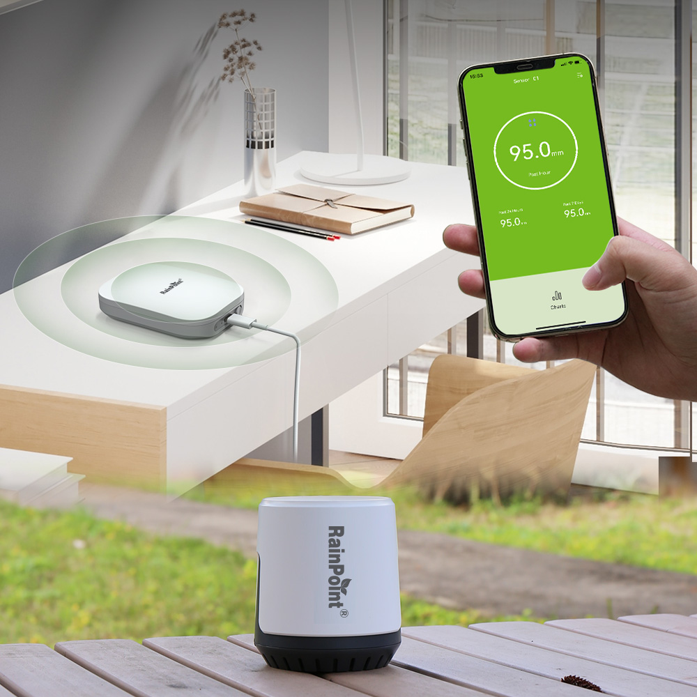 RAINPOINT Wireless Digital Rai - Rain Gauge Digital review and price