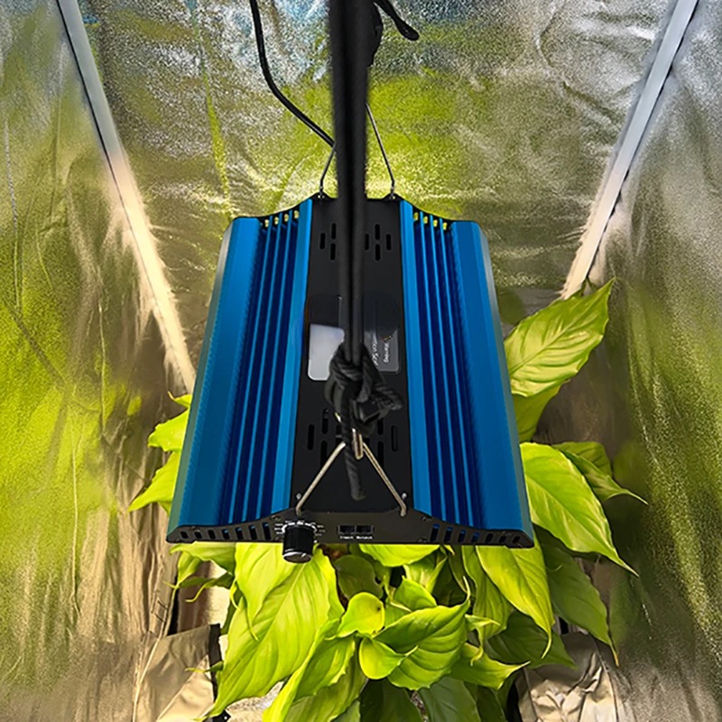 60*60*160cm Plant tent + Board - Grow Tent Complete Kit review and price
